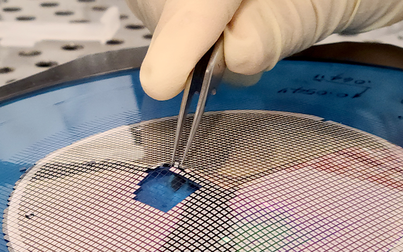 wafer chips diced sensors